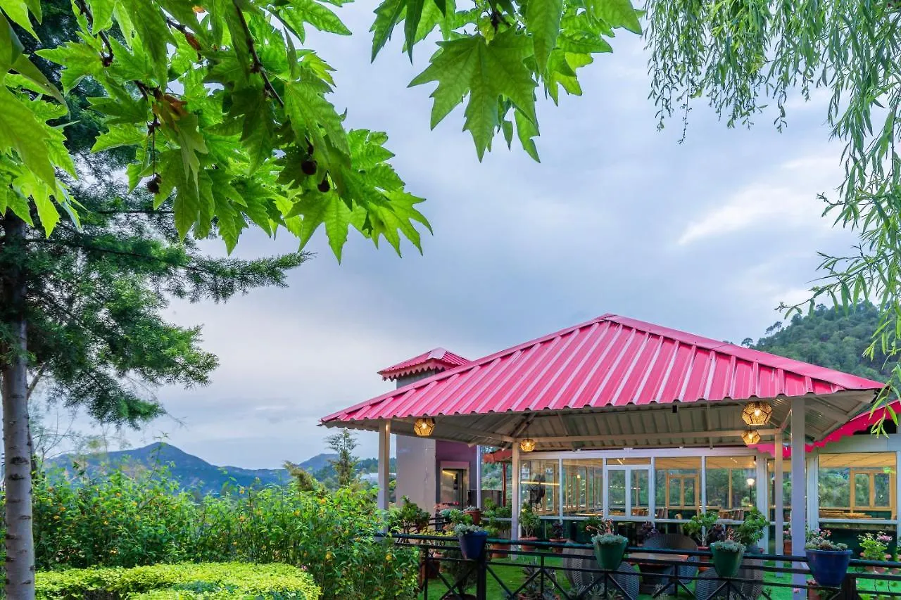 Maple Resort Chail