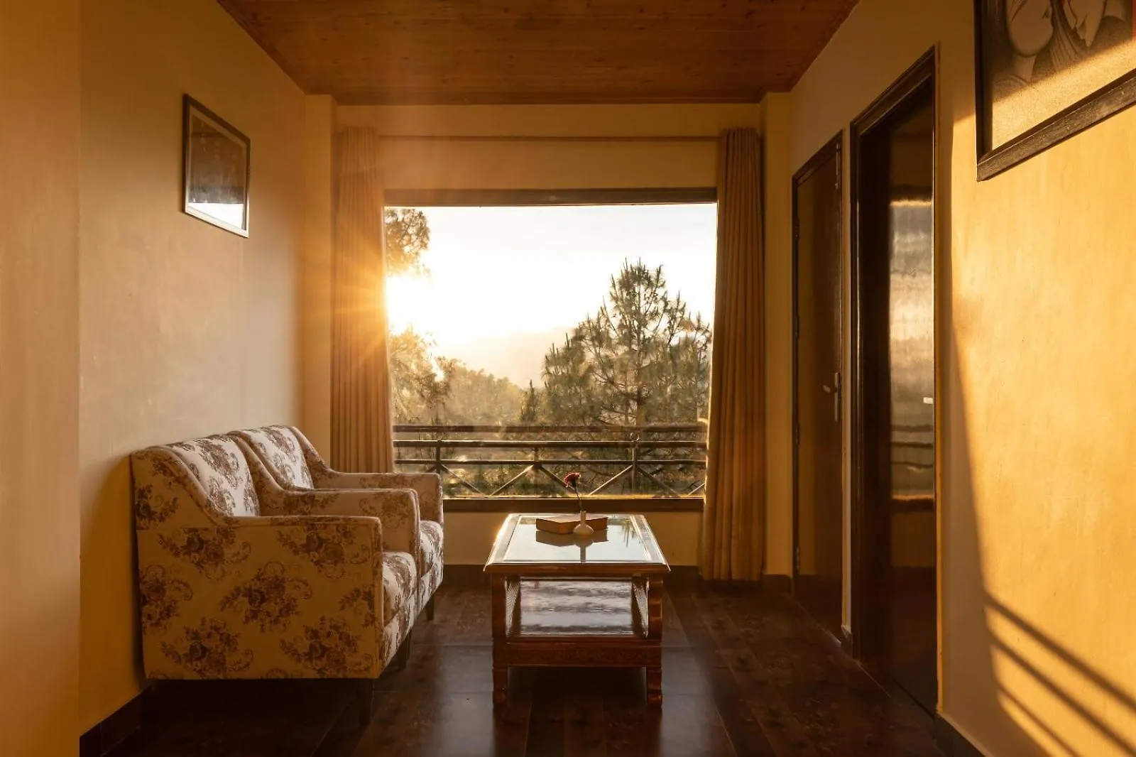 Maple Resort Chail India