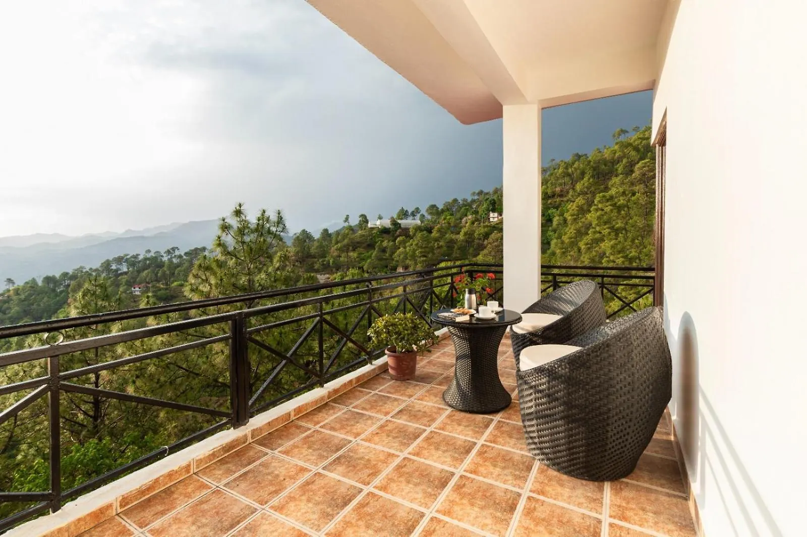 Maple Resort Chail 4*,